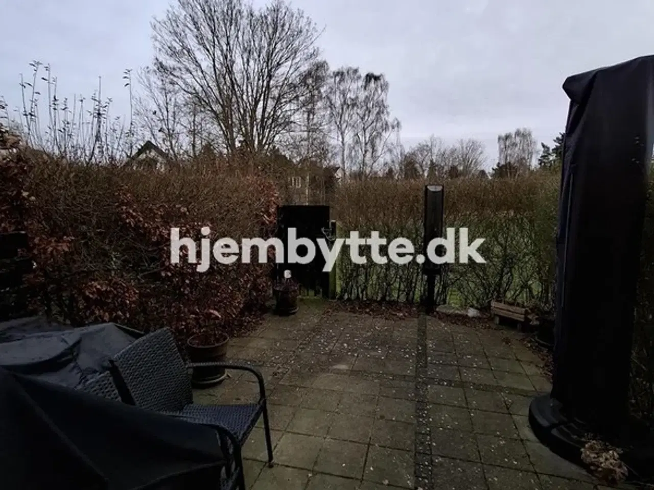 Billede 9 - Hjembytte - Hyldemosen
