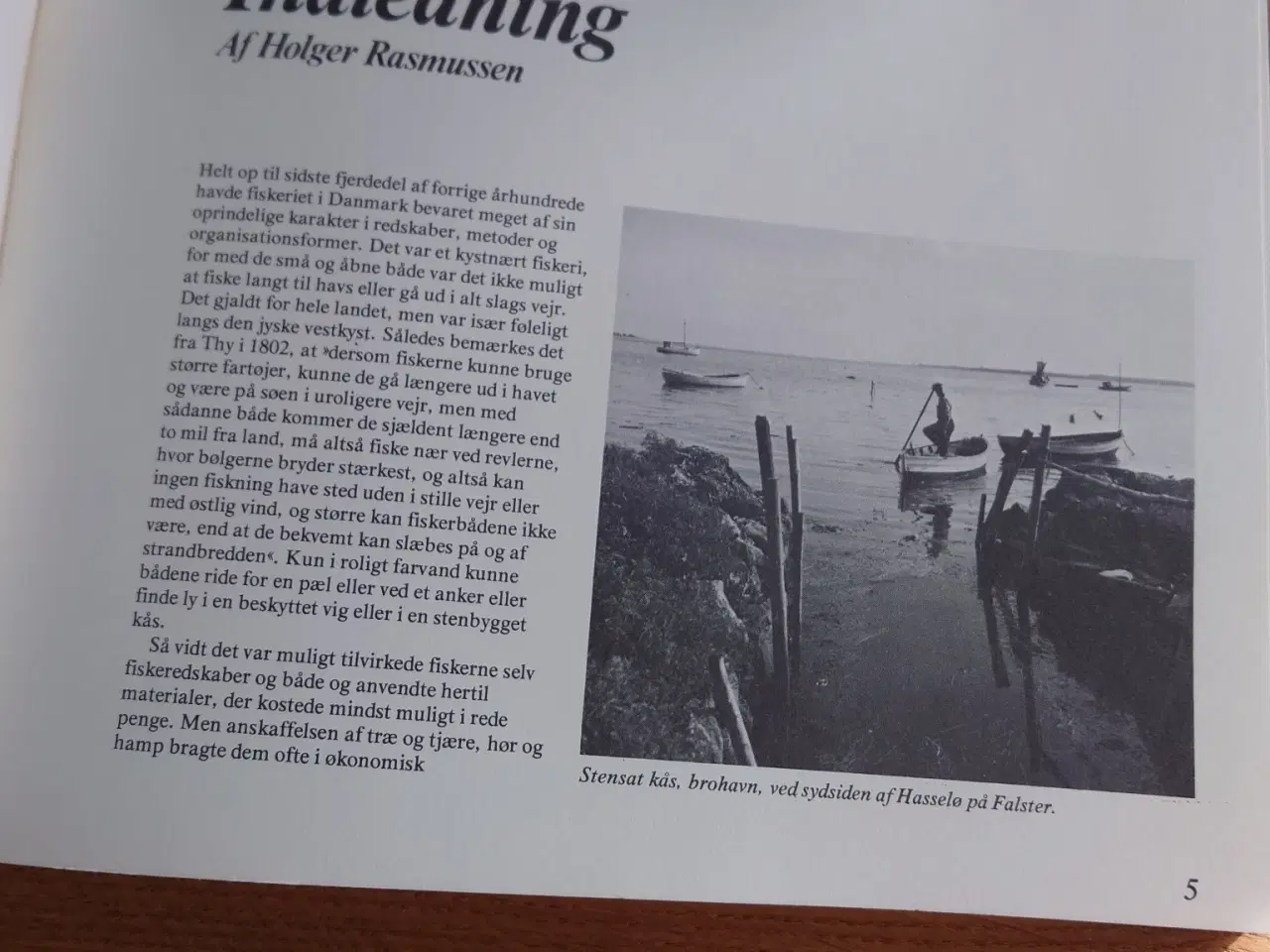 Billede 2 - ÅLEJERN OG ANDRE LYSTRE