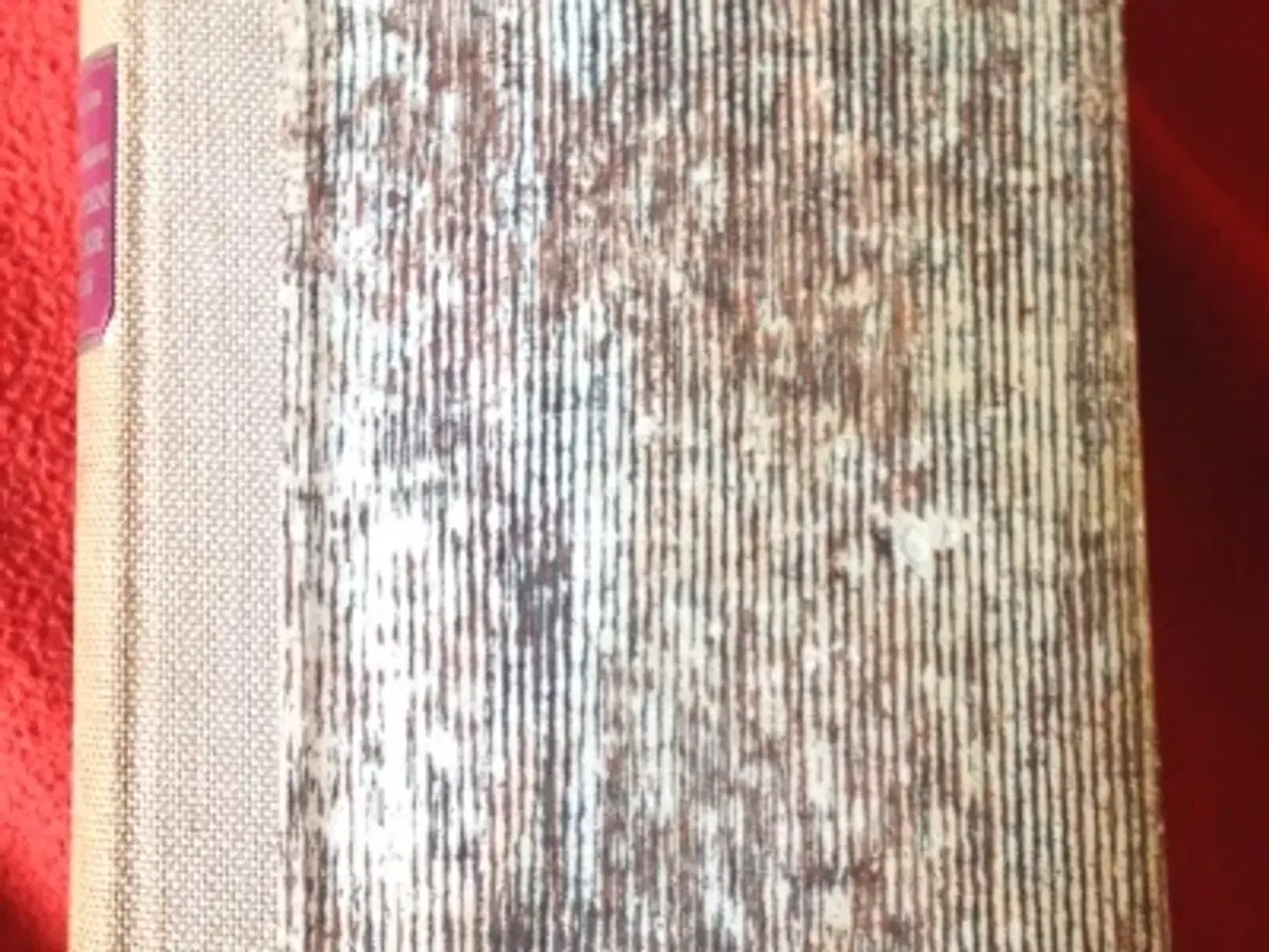 Billede 1 - Hakon Mielche mfl: Sfinxen er der igen