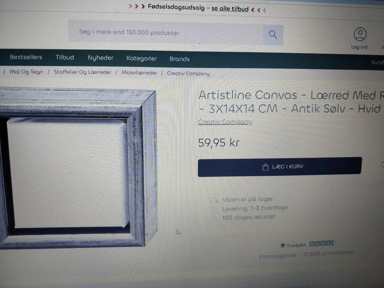 Billede 6 - Malerlærred