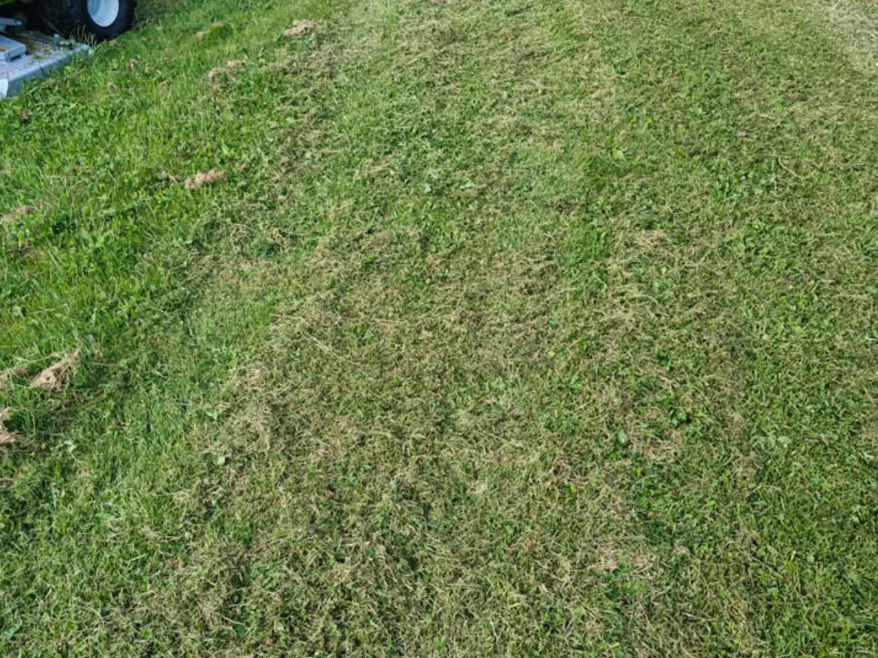 Billede 11 - Grillo MD 28 AWD