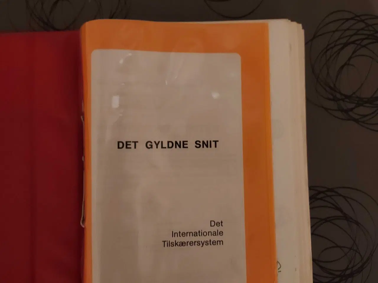 Billede 4 - Det gyldne snit, Maria Aloisia Lutterloh