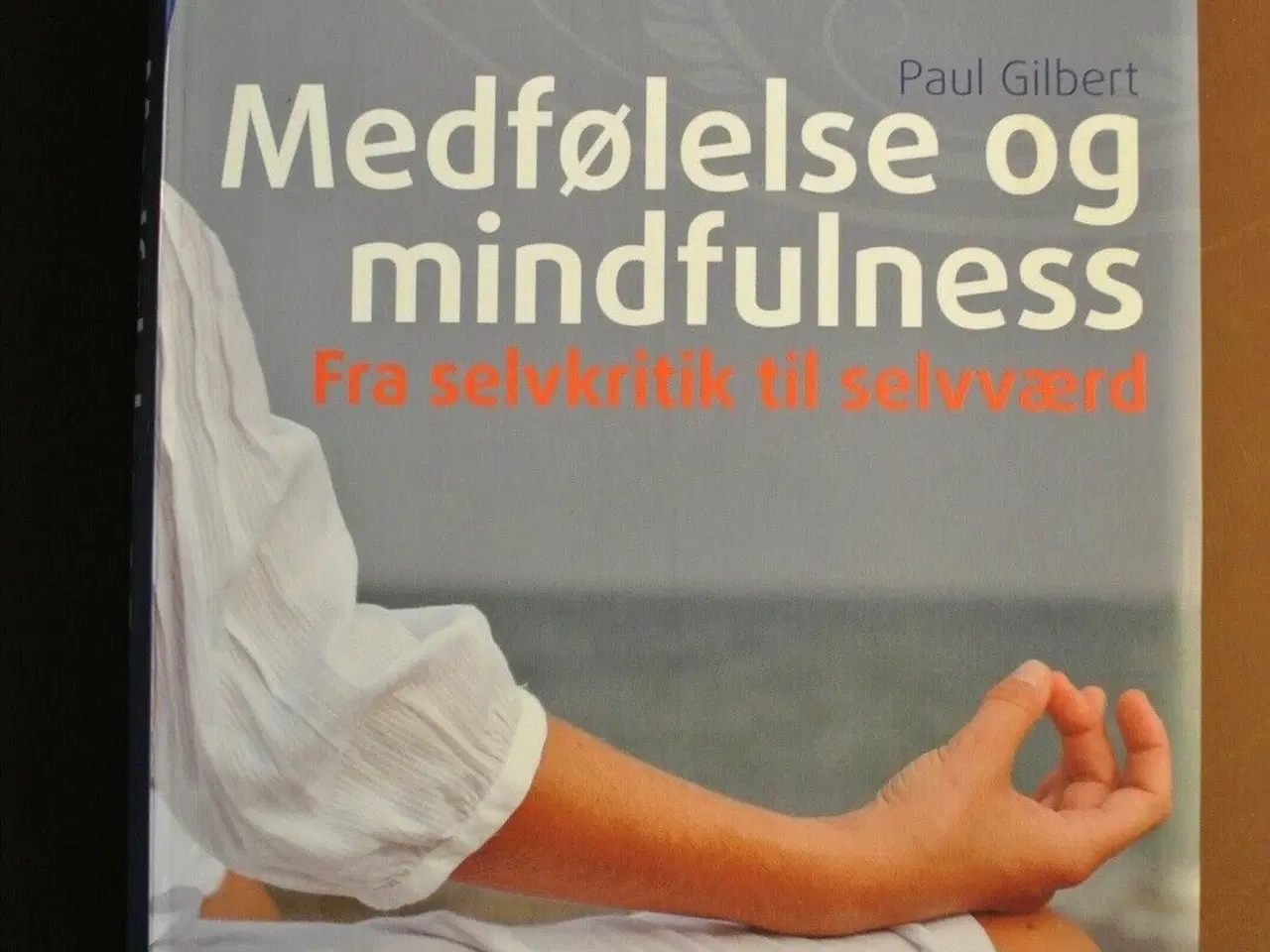 Billede 1 - medfølelse og mindfulness - fra selvkritik til sel