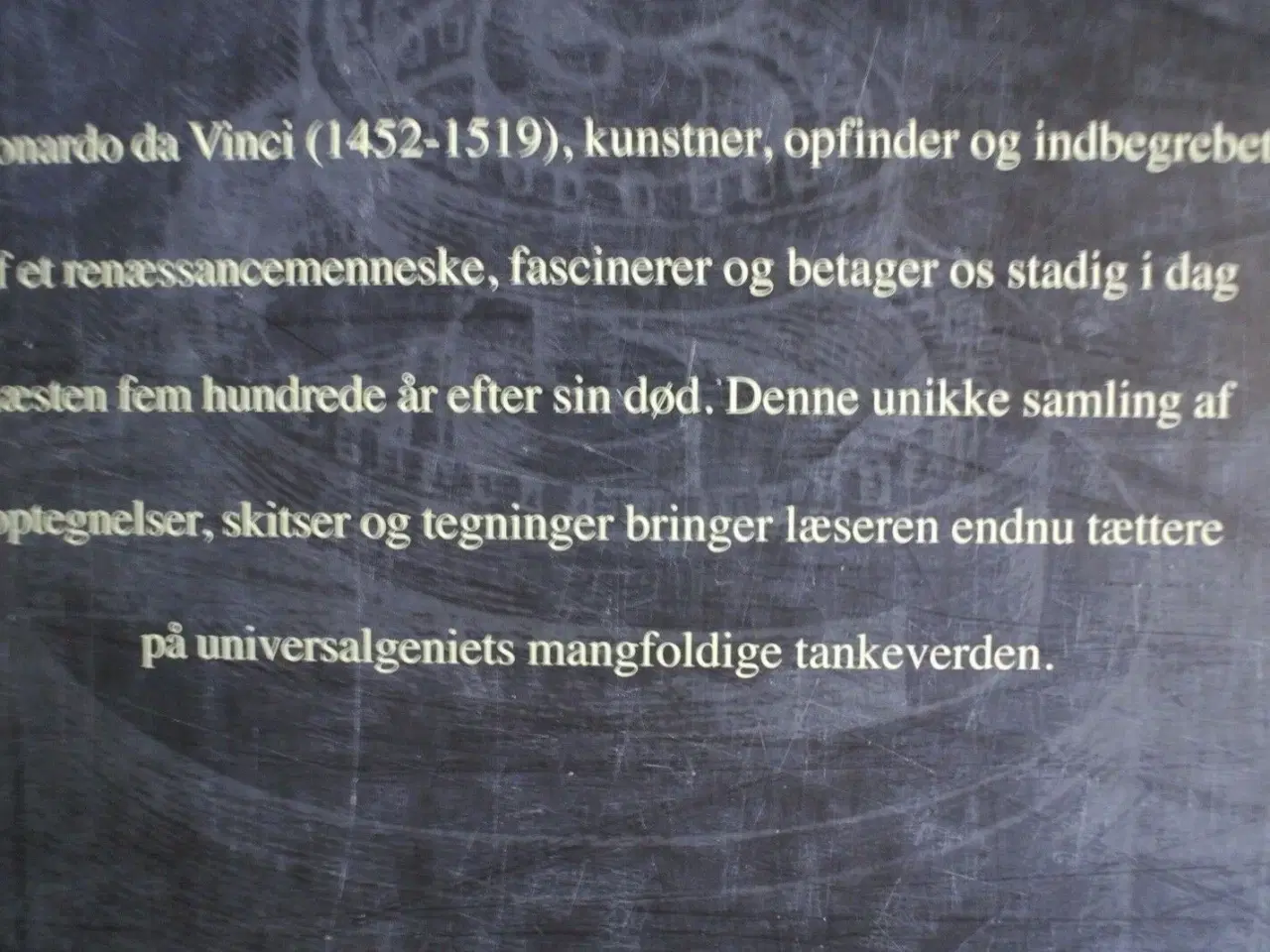 Billede 3 - leonardo da vinci optegnelser, red. af h. anna suh
