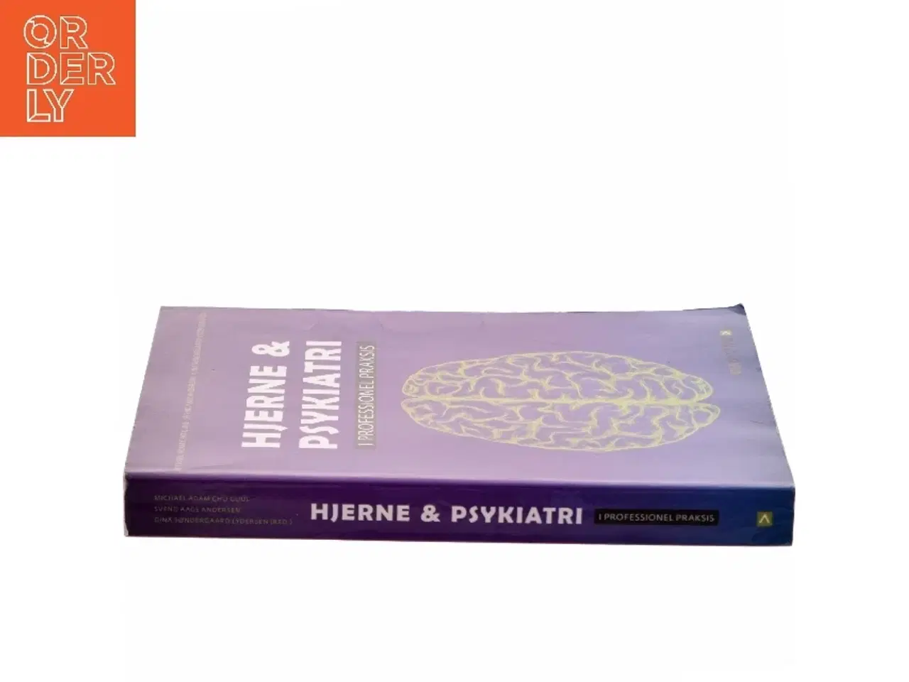 Billede 2 - Hjerne & psykiatri - i professionel praksis (Bog)