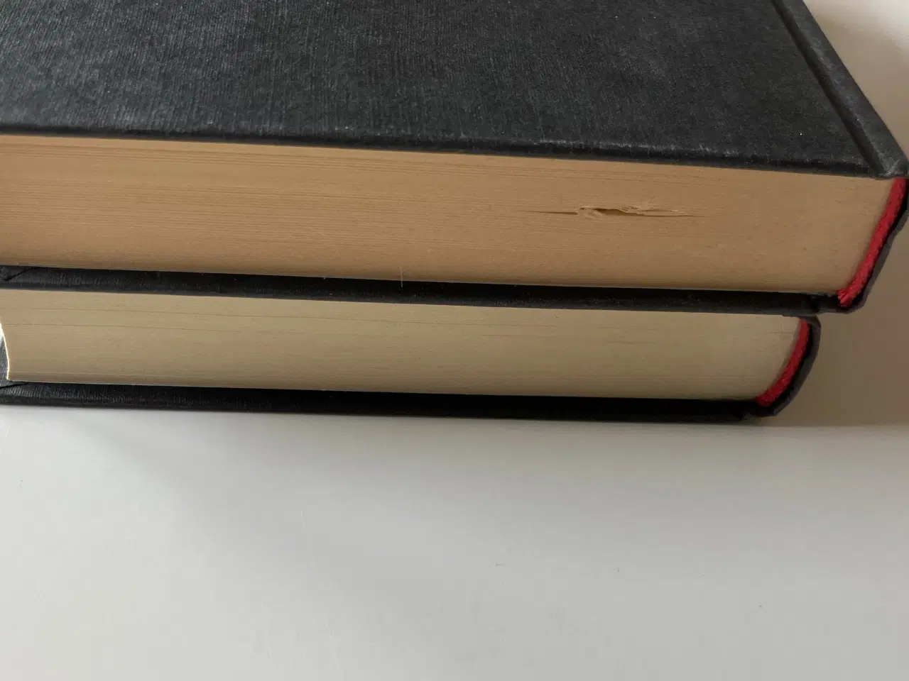 Billede 2 - Berlinerpoplene + Eremittkrepsene (Norsk) (2 bøger