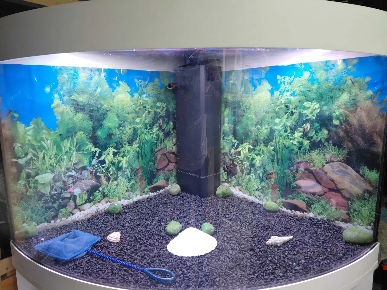 Billede 3 - Hjørne akvarier 190L