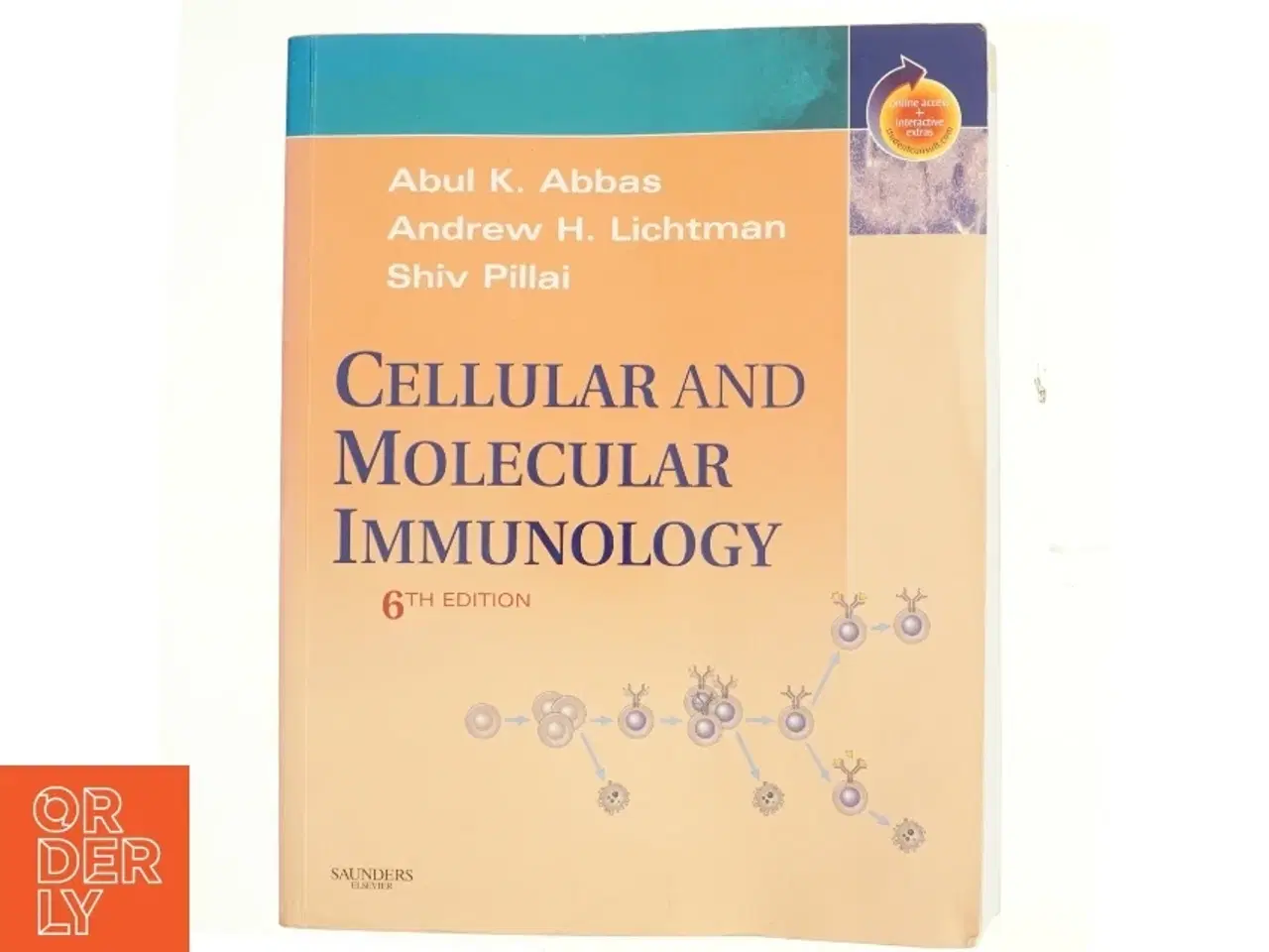 Billede 1 - Cellular and molecular immunology (Bog)