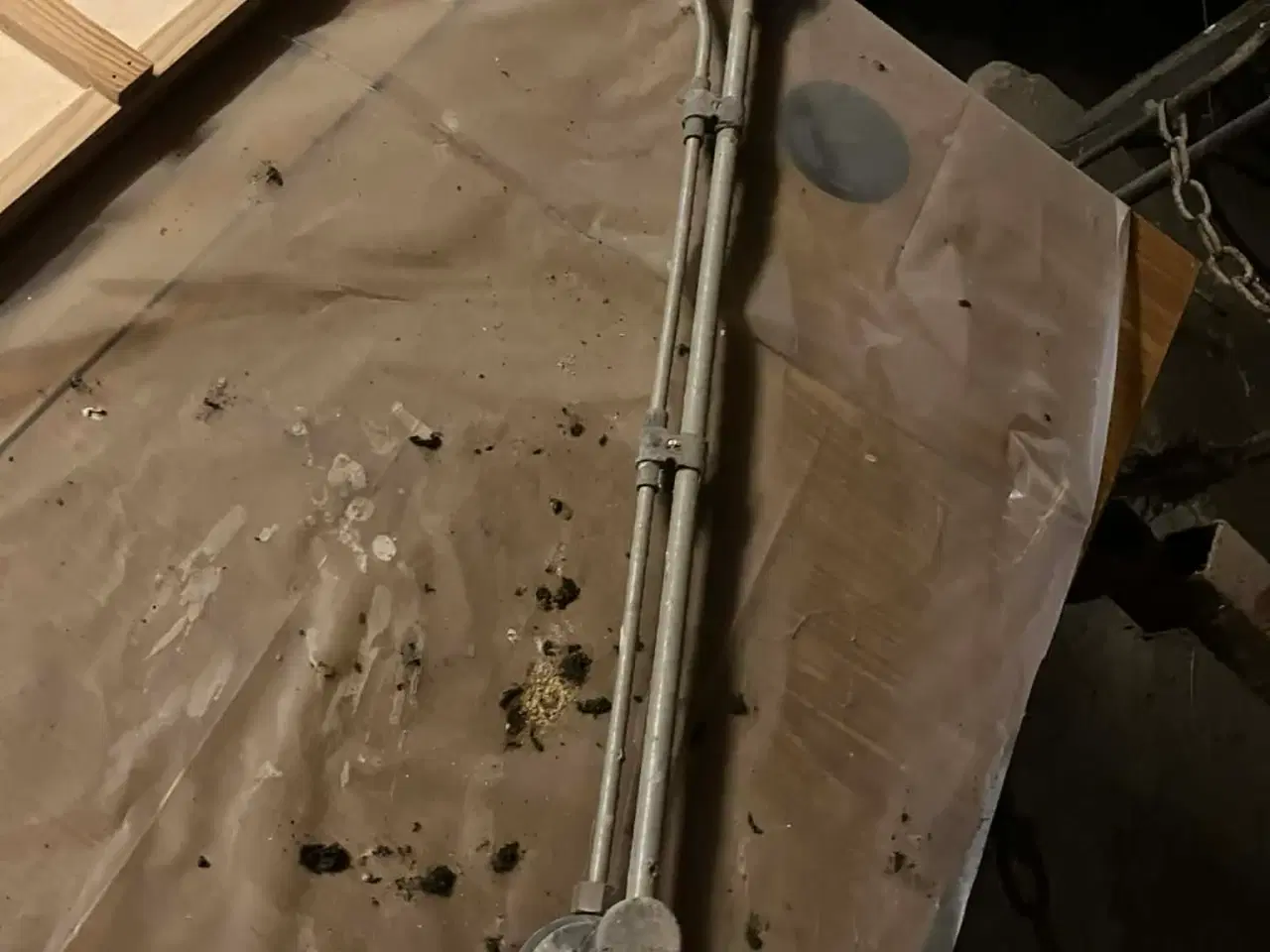 Billede 3 - Gerni Højtryks renser 112