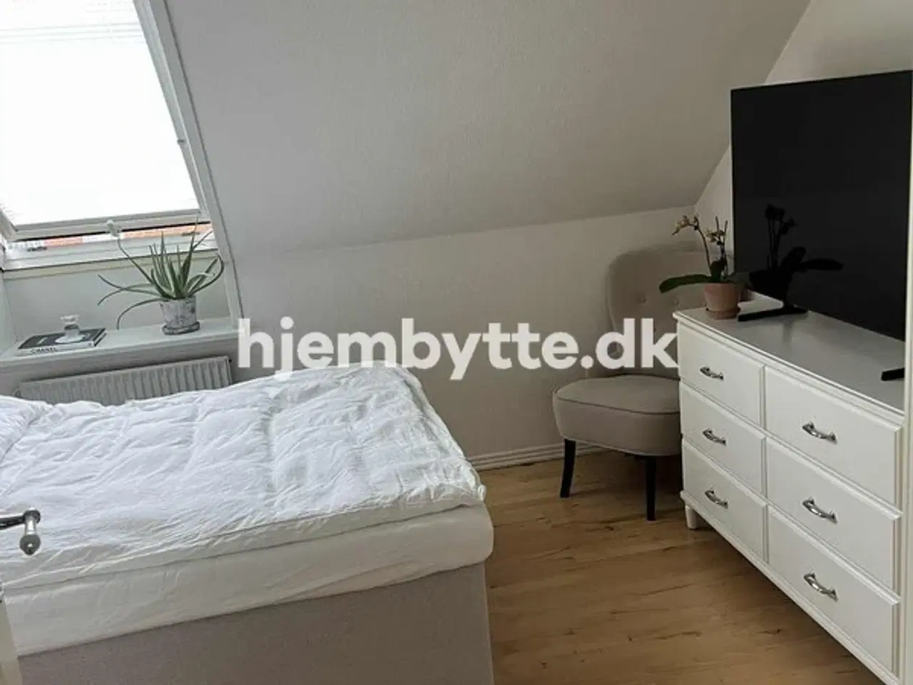 Billede 3 - Hjembytte - Ehlersvej