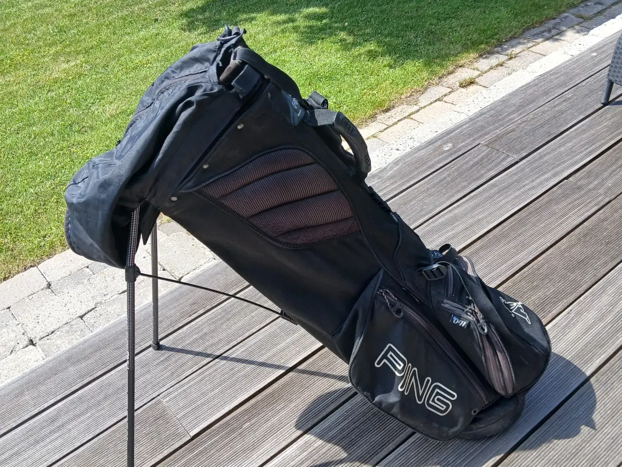 Billede 1 - Ping bærebag