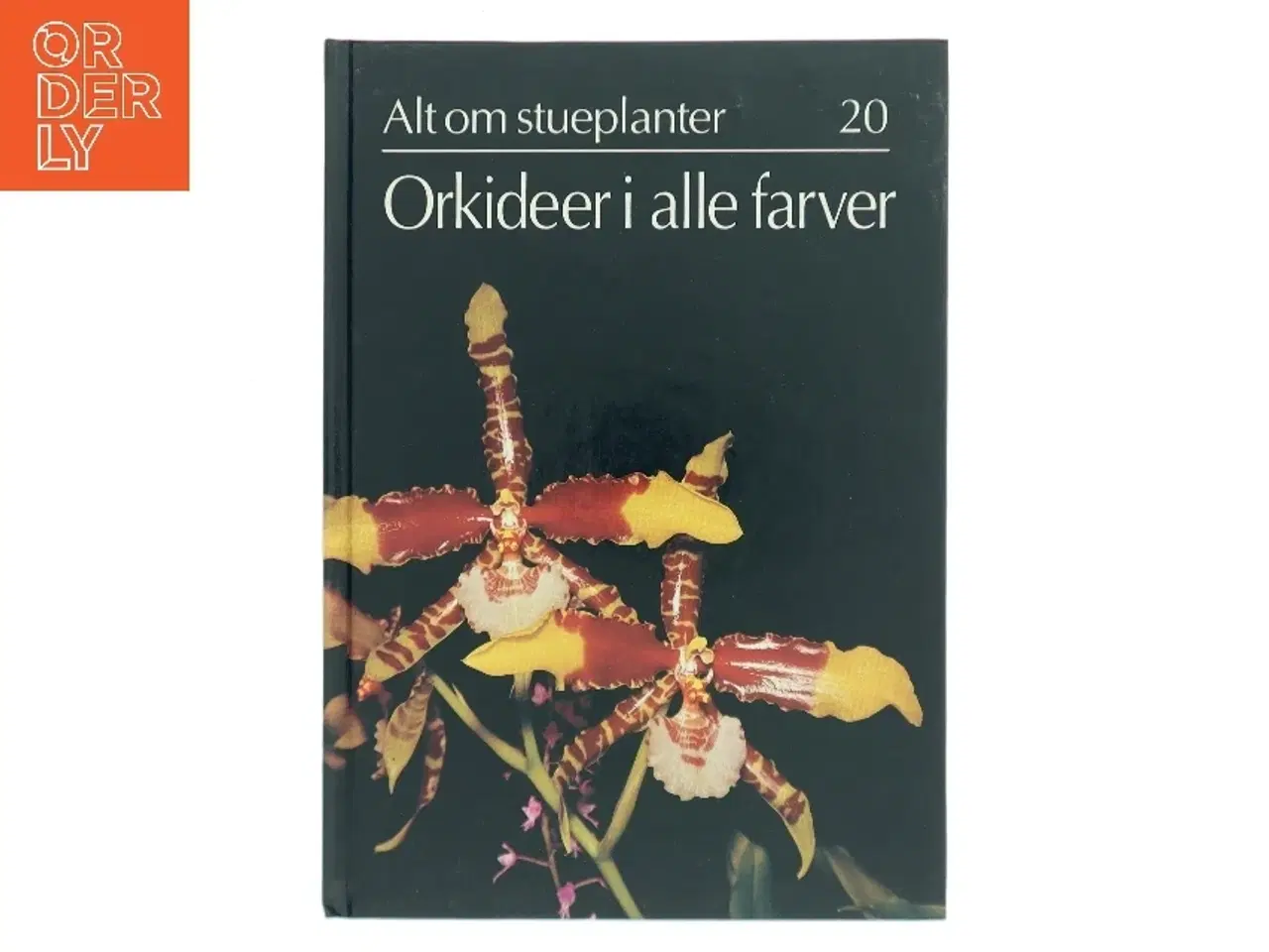 Billede 1 - Orkideer i alle farver (Bog)