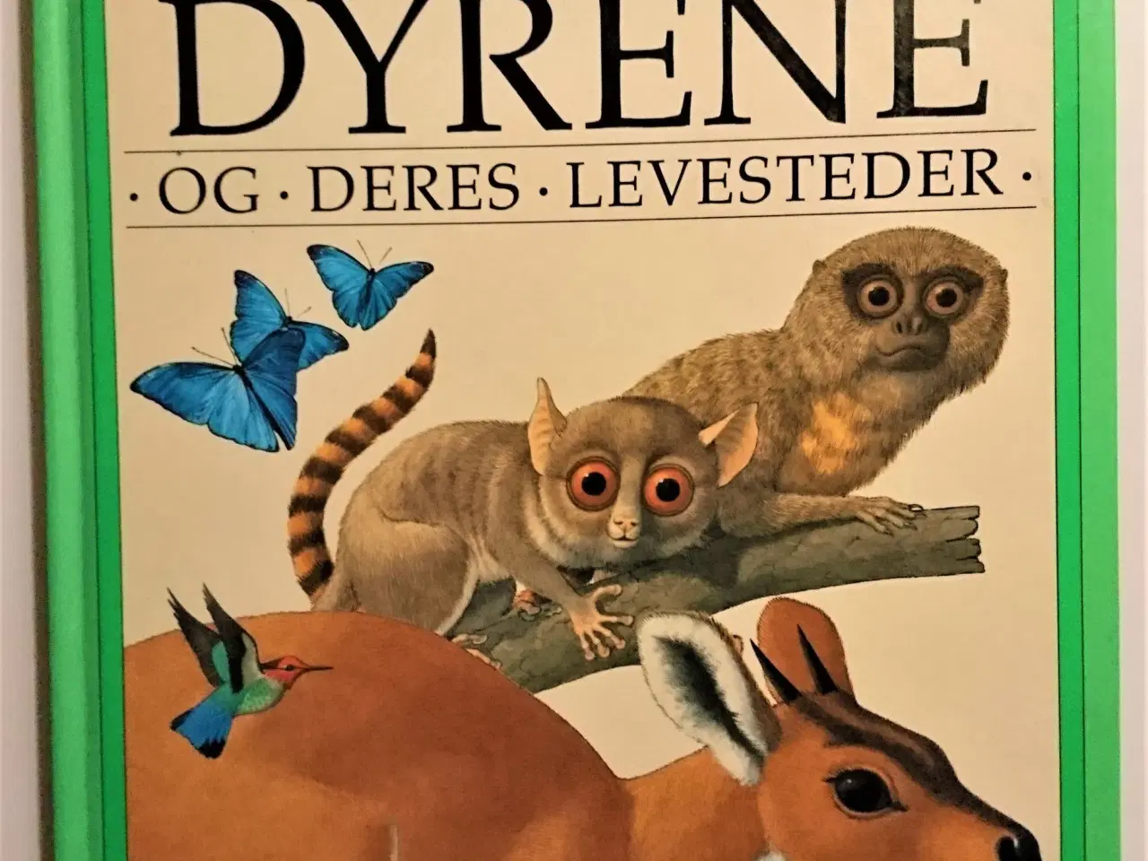 Billede 1 - Dyrene og deres levesteder af John Feltwell