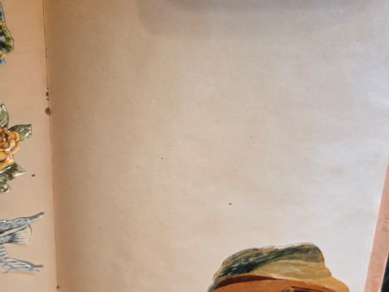 Billede 10 - Bog med glansbilleder