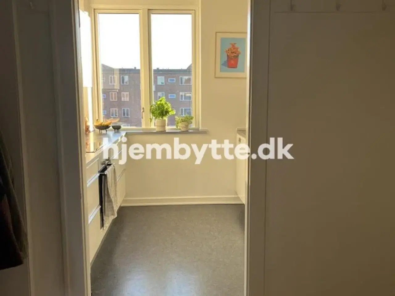 Billede 3 - Hjembytte - PeterBangsVej