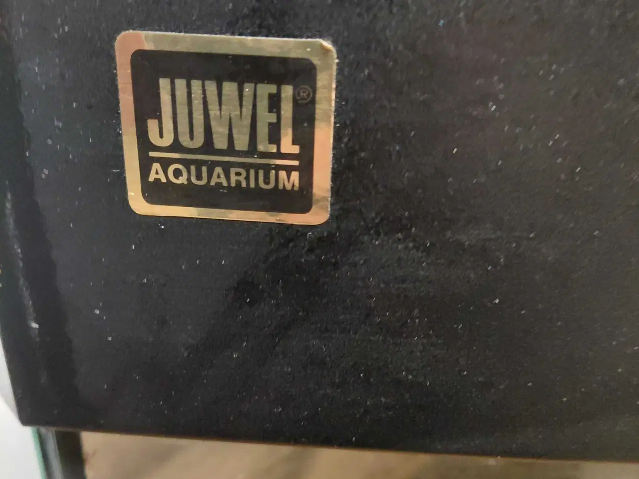 Billede 6 - Hjørneakvarie 100L 