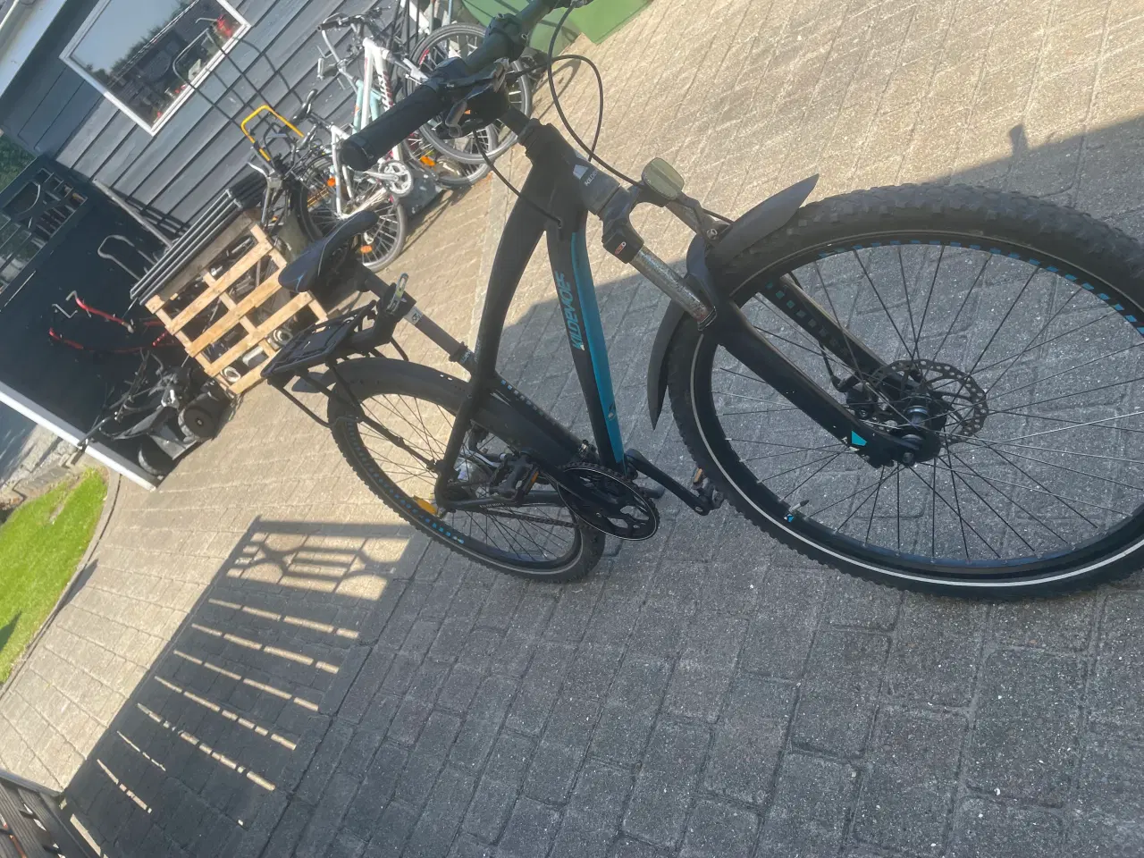 Billede 4 - Cykler kildmoes