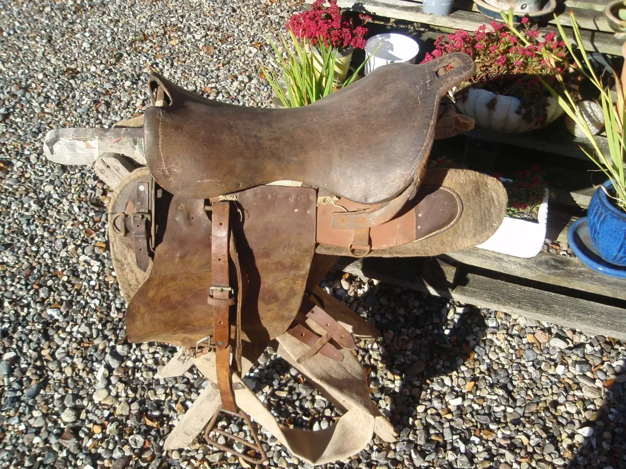 Billede 1 - Æsel sadel