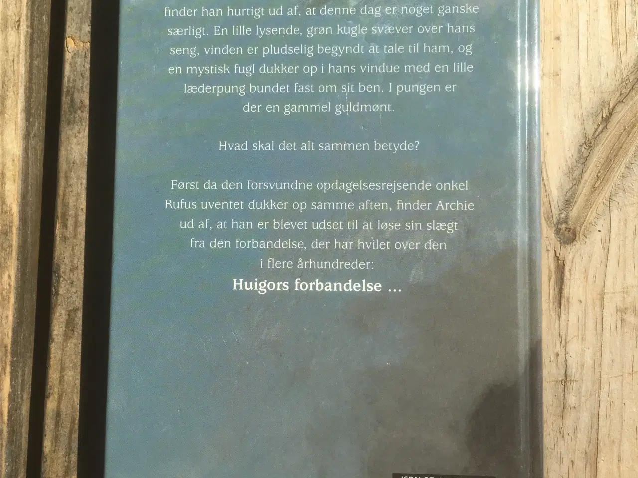 Billede 2 - Tornadotæmmeren, P. R. Morrison, genre: fantasy