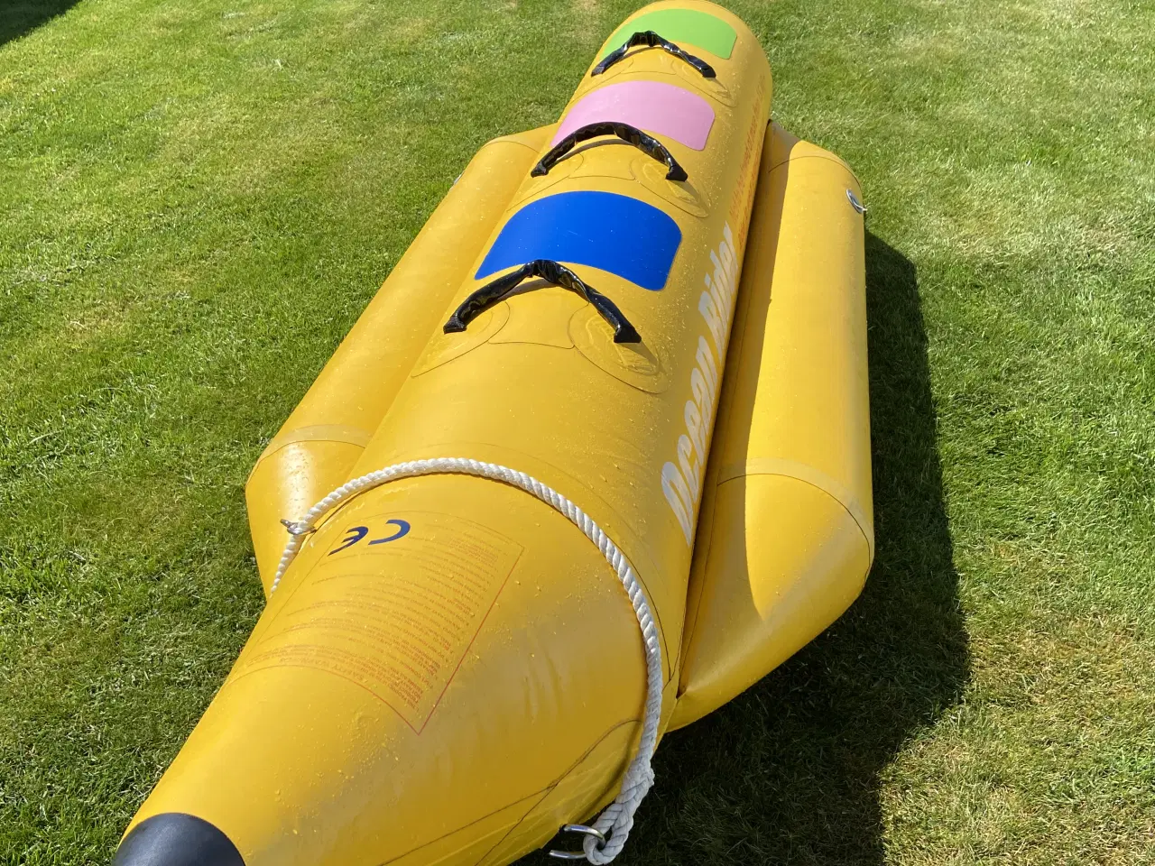 Billede 2 - Ocean Rider Banan proff