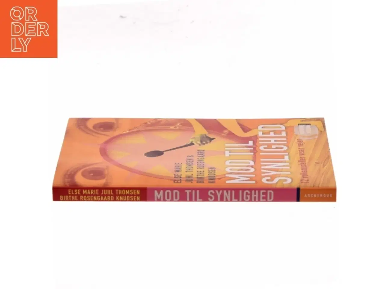Billede 2 - Mod til synlighed : 12 rollemodeller viser vejen (Bog)