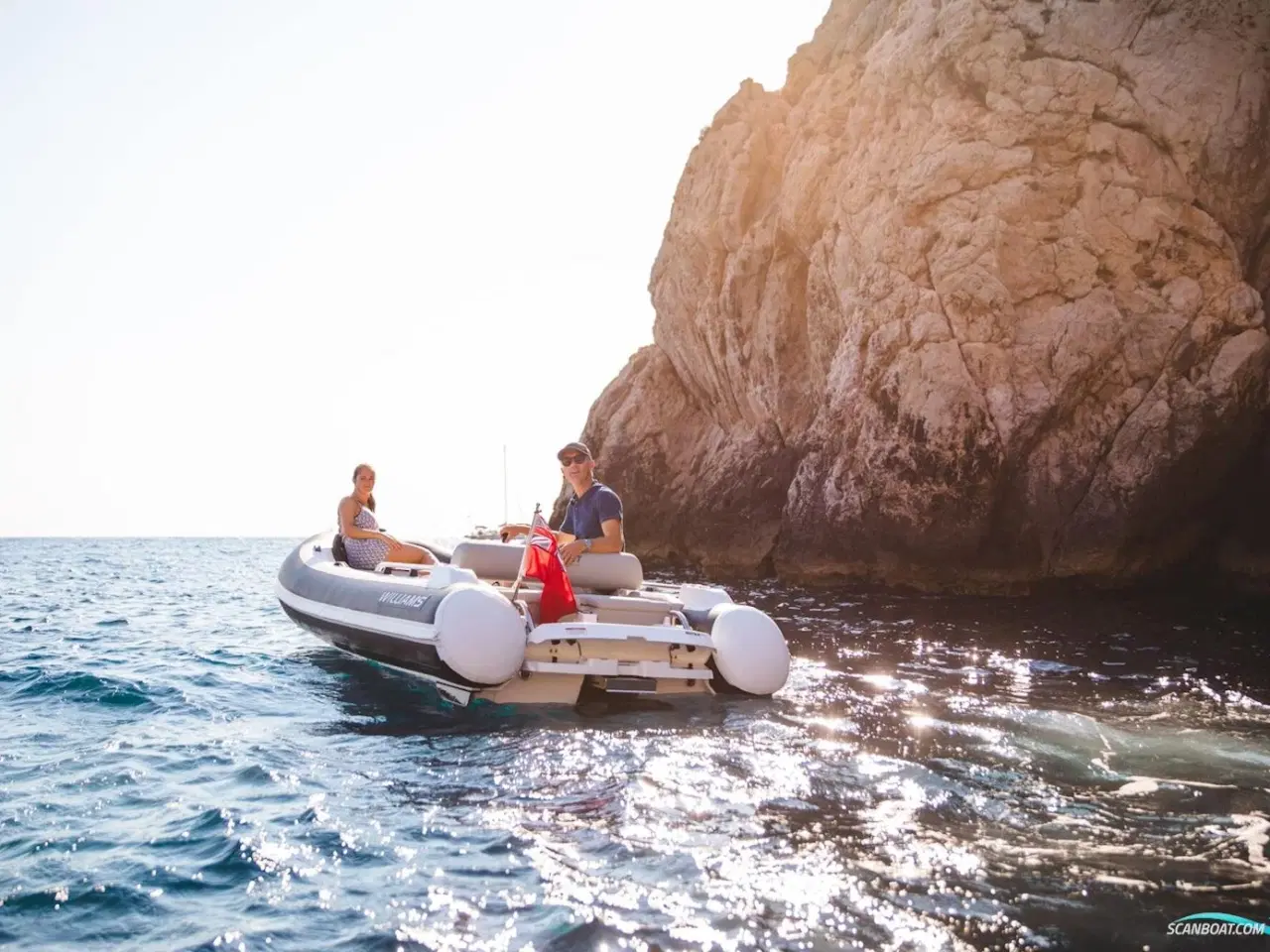 Billede 3 - Williams 435 Sportjet