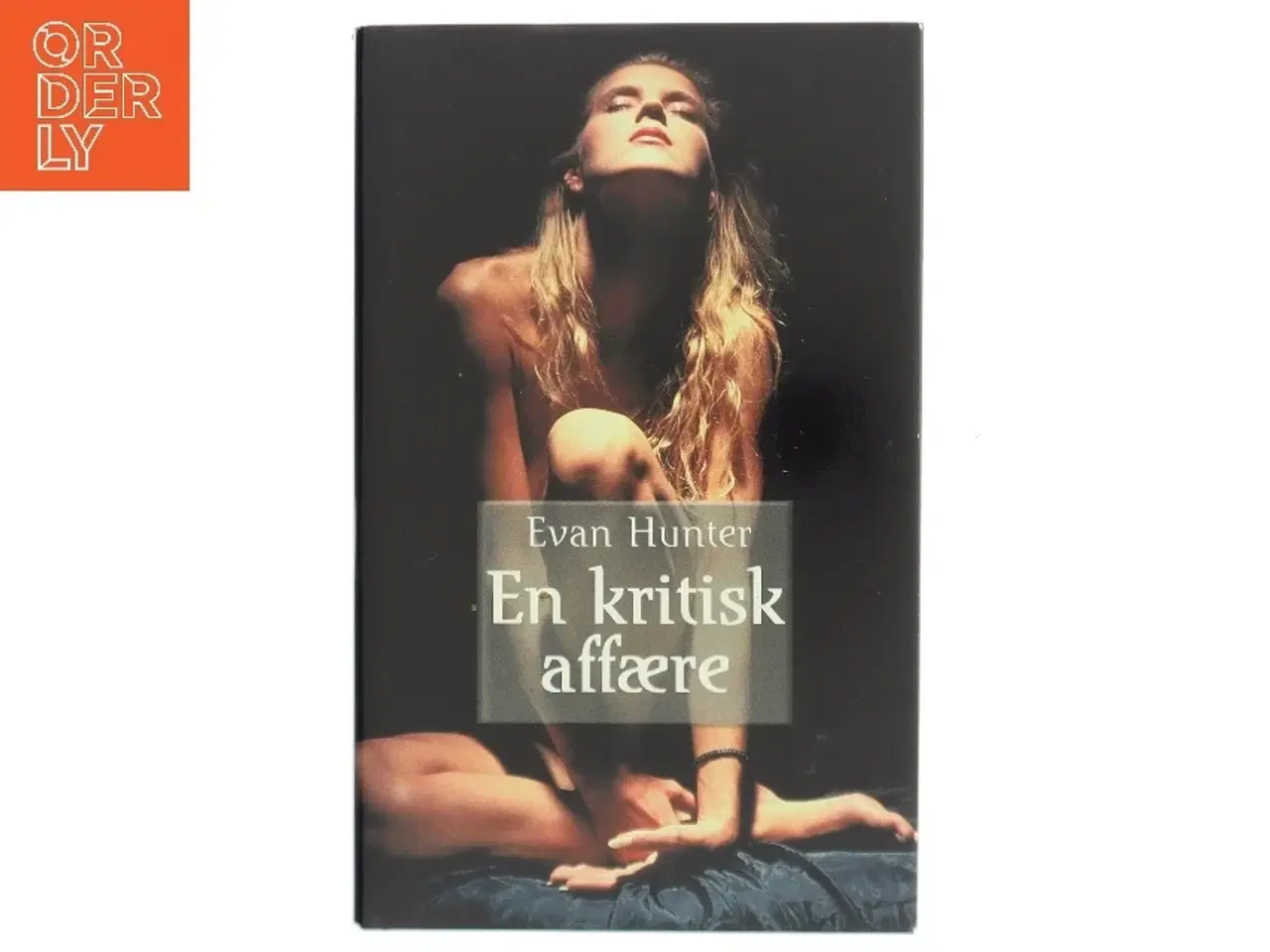 Billede 1 - En kritisk affære (bog)