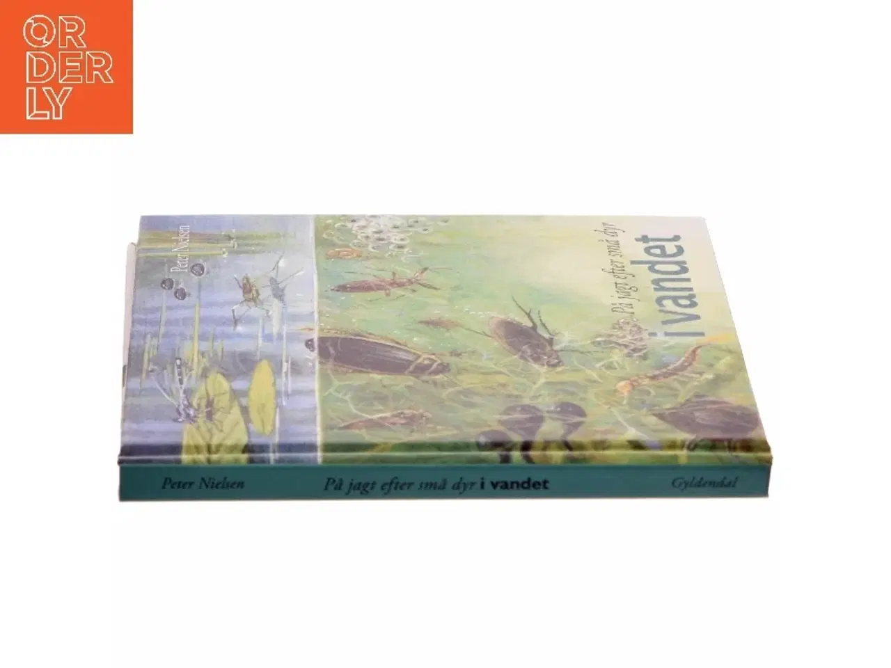 Billede 2 - På jagt efter små dyr i vandet af Peter Nielsen (Bog)