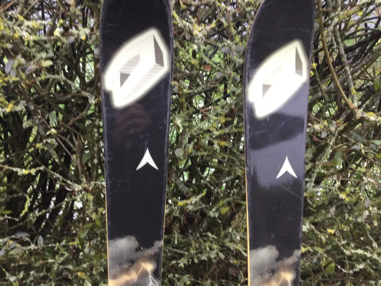 Billede 4 - Carvingski, Dynastar