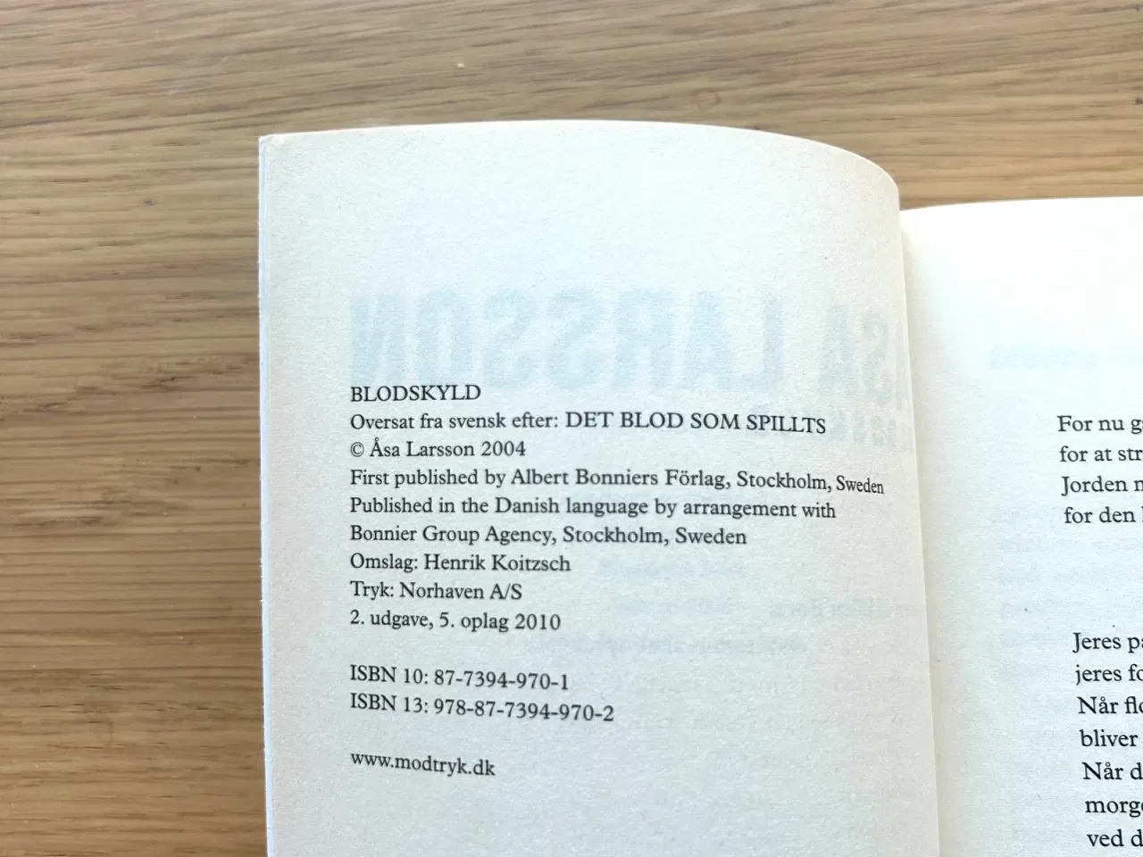 Billede 3 - Blodskyld af Åsa Larsson