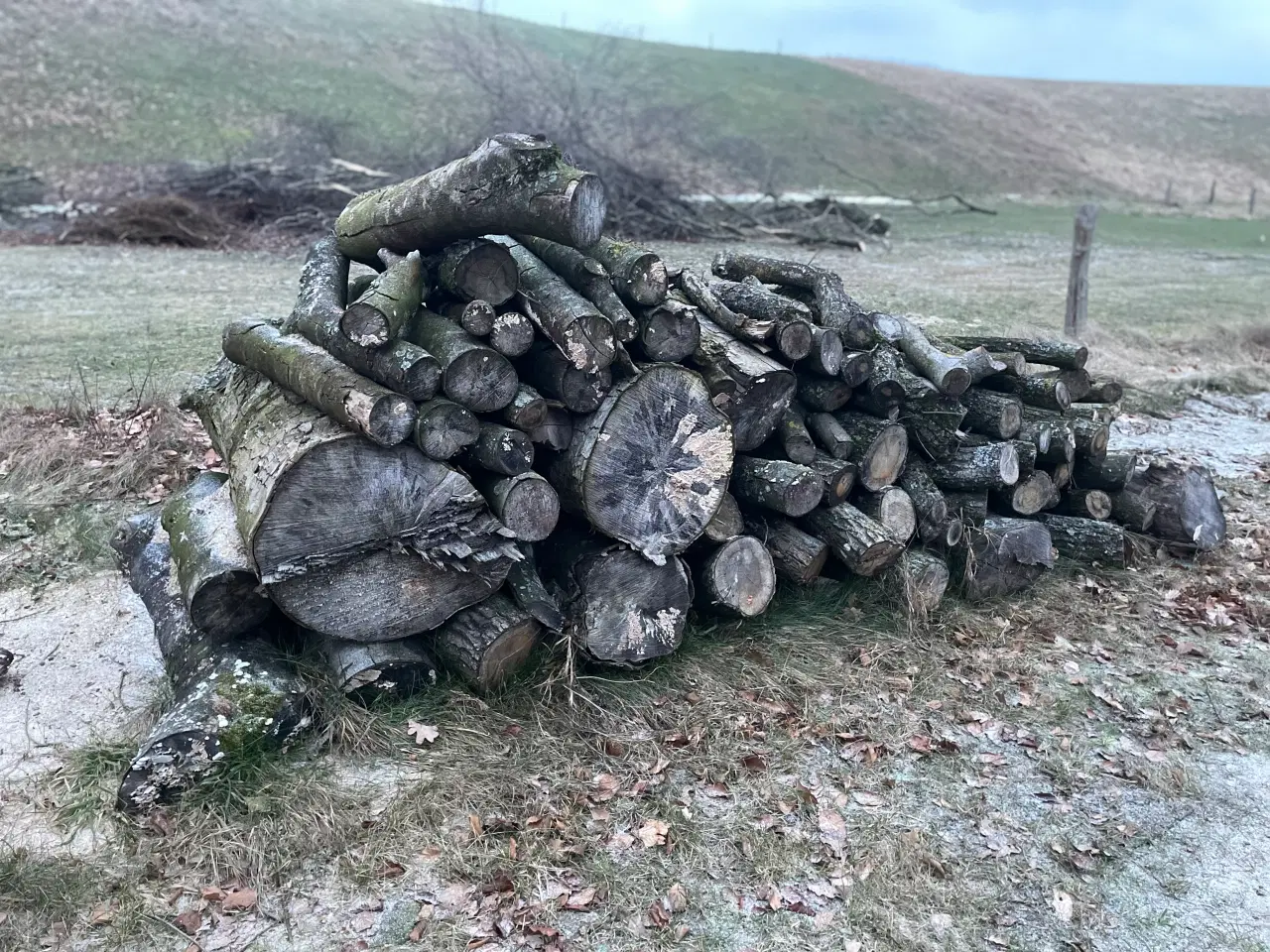 Billede 1 - Brænde, løvtræ 