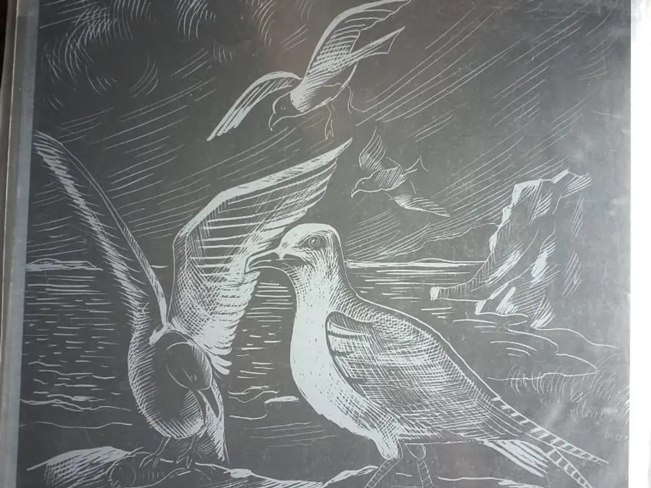 Billede 4 - Skrab billeder