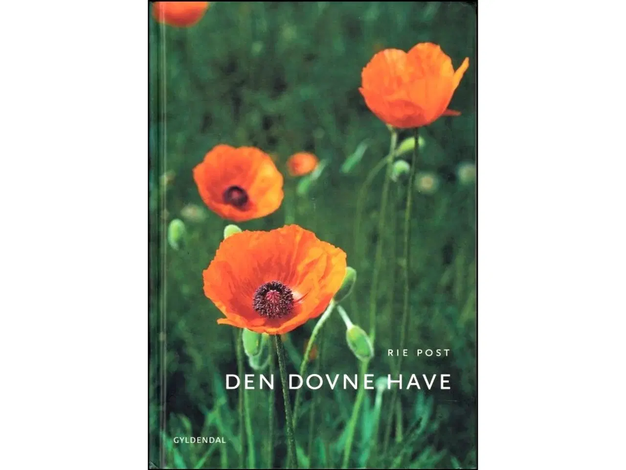 Billede 1 - Den dovne Have