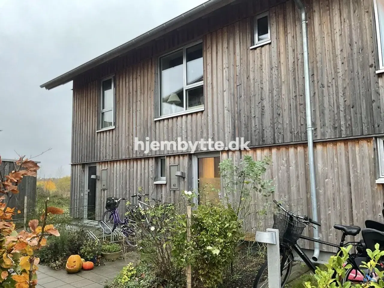 Billede 6 - Hjembytte - Skademosen