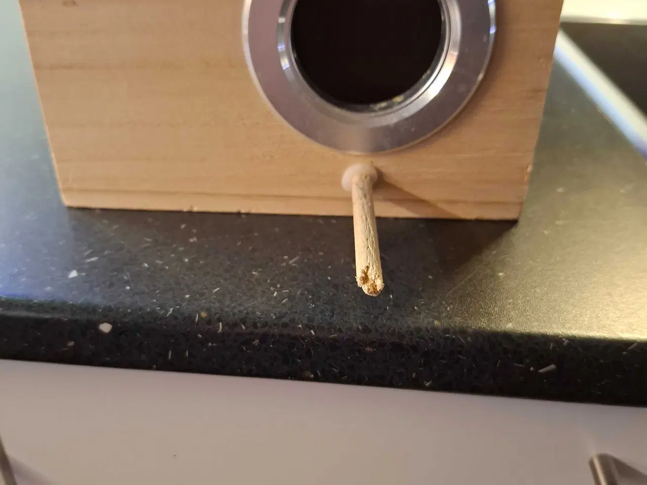 Billede 4 - Fuglebur 2 i en