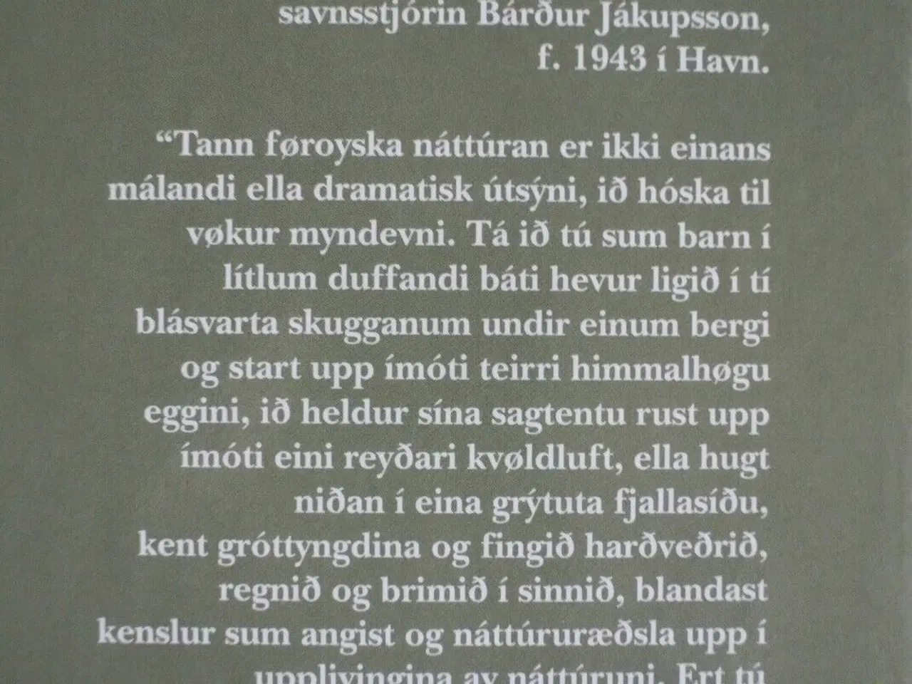 Billede 2 - myndlist i føroyum. på færøsk, af bardur jakupsson