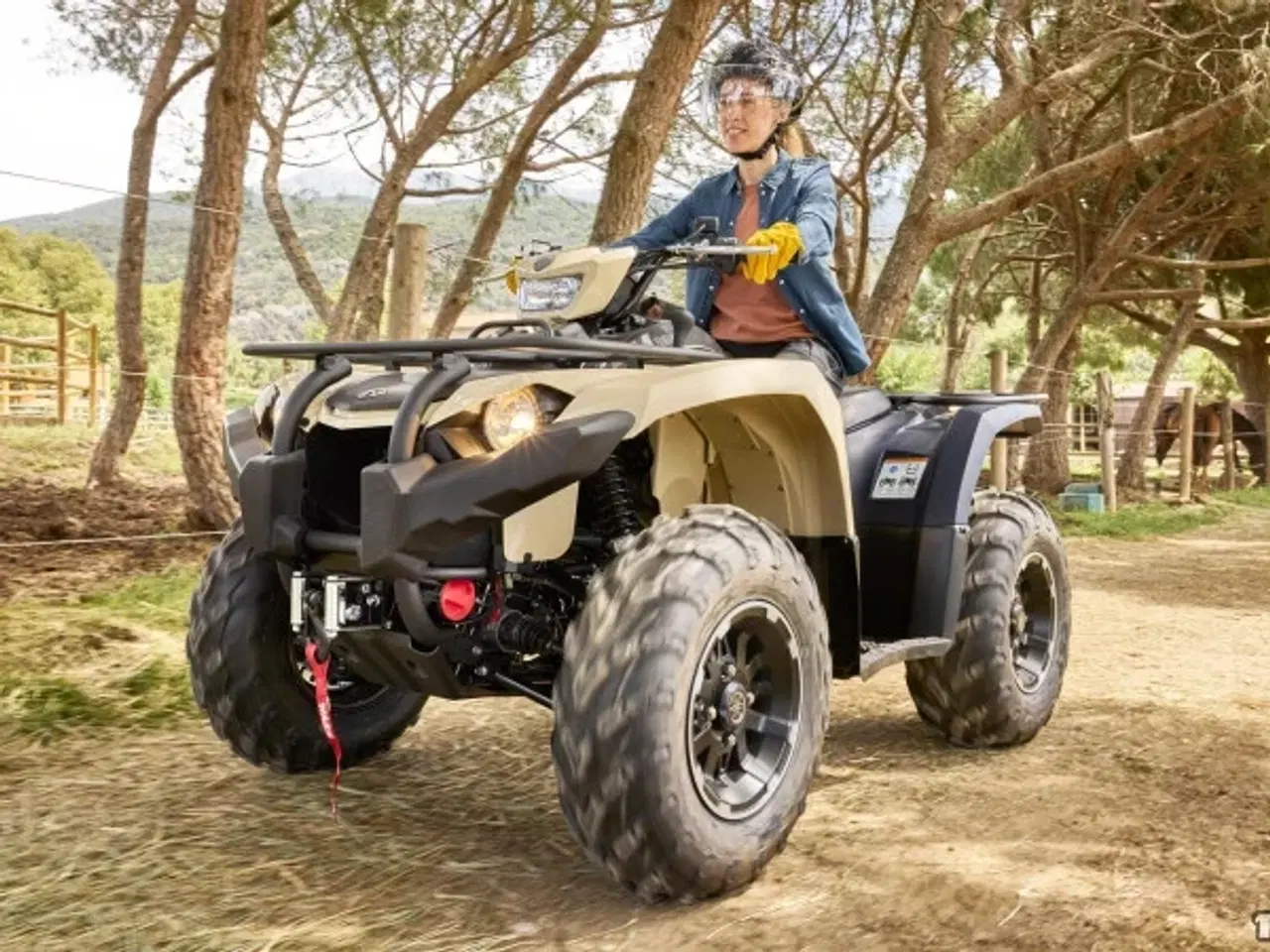 Billede 7 - Yamaha Kodiak 450 EPS SE Traktor