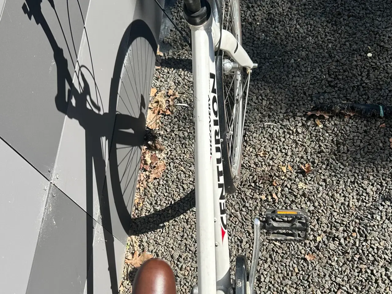 Billede 3 - Centurion pige/dame cykel 7 gear