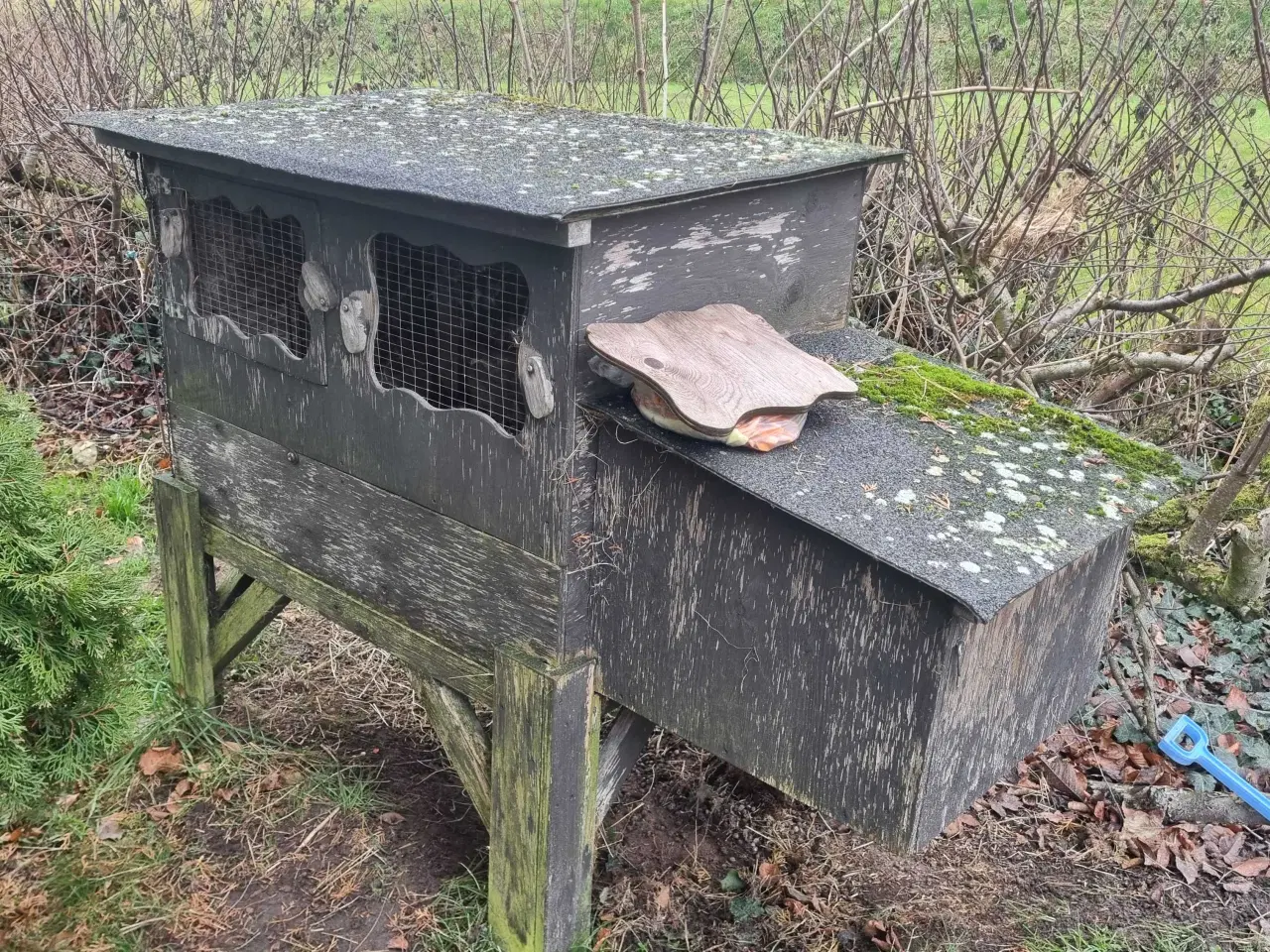 Billede 4 - Udebur + kanin – kun 200 kr
