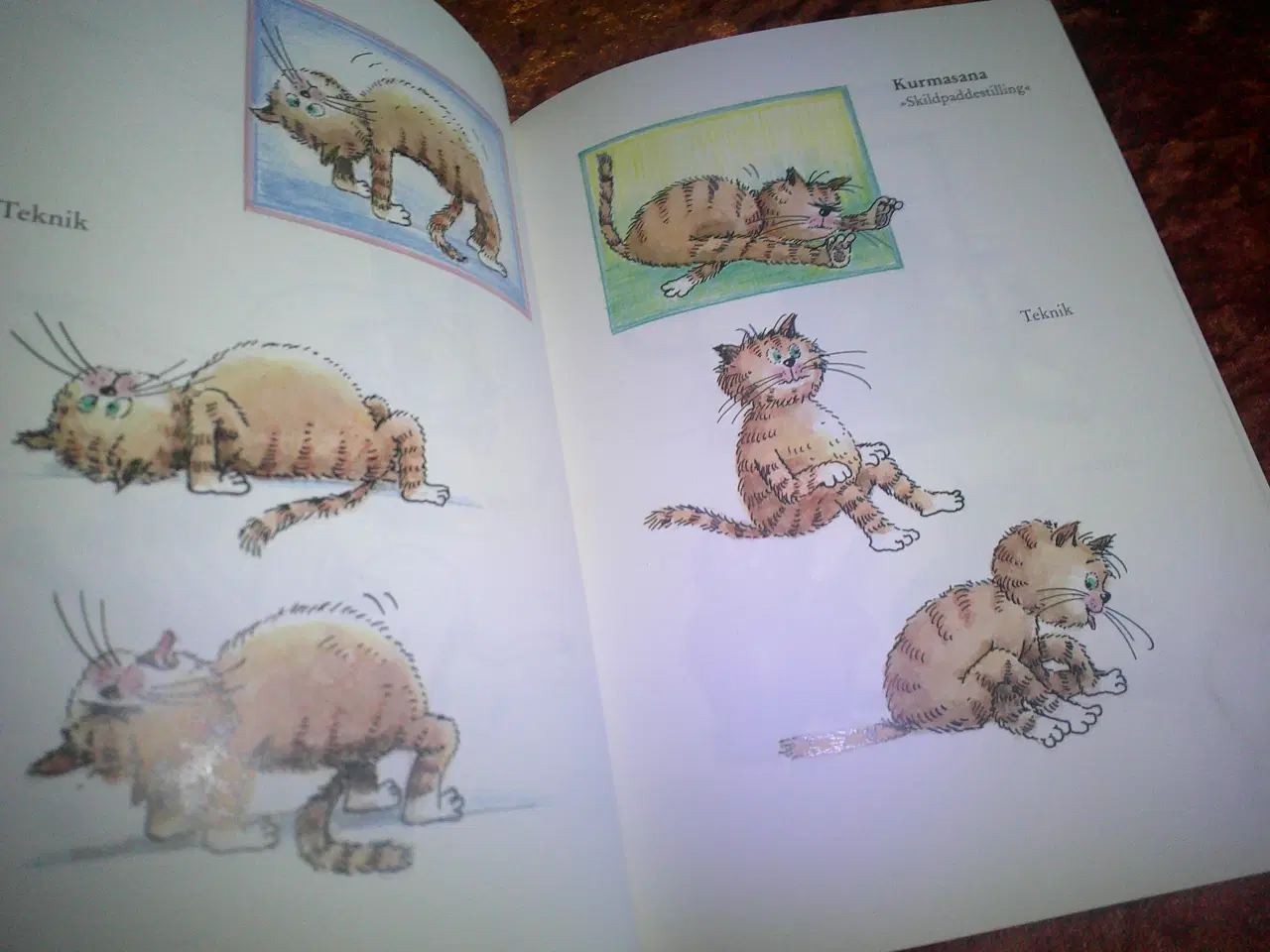 Billede 2 - Yoga for katte, Traudl Reiner, Walter Reiner