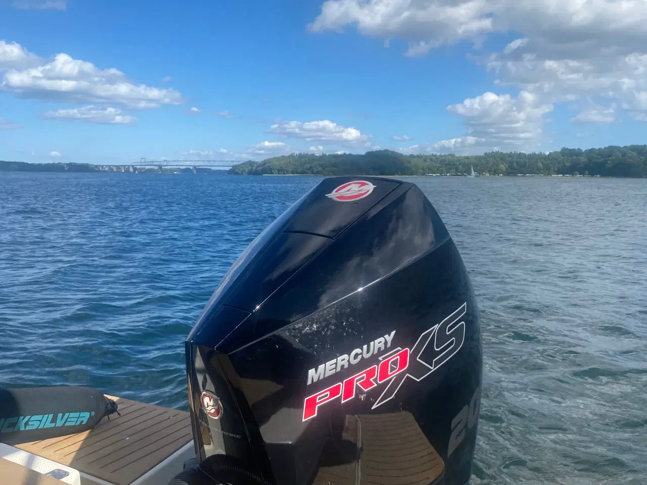 Billede 2 - 200 hk Mercury ProXS V8 4,6L - demo motor