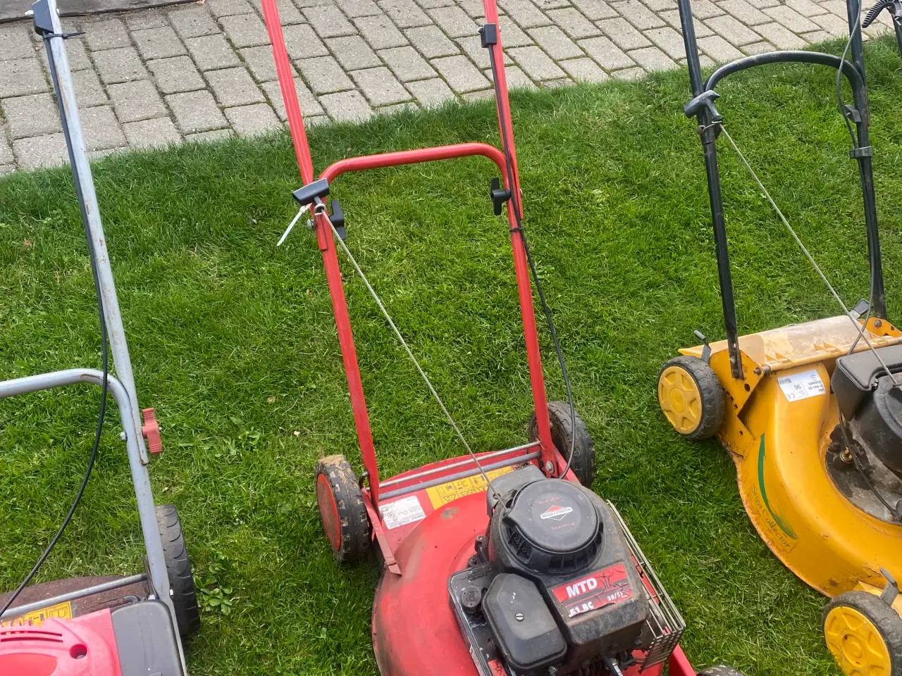 Billede 6 - Rotor plæneklipper 