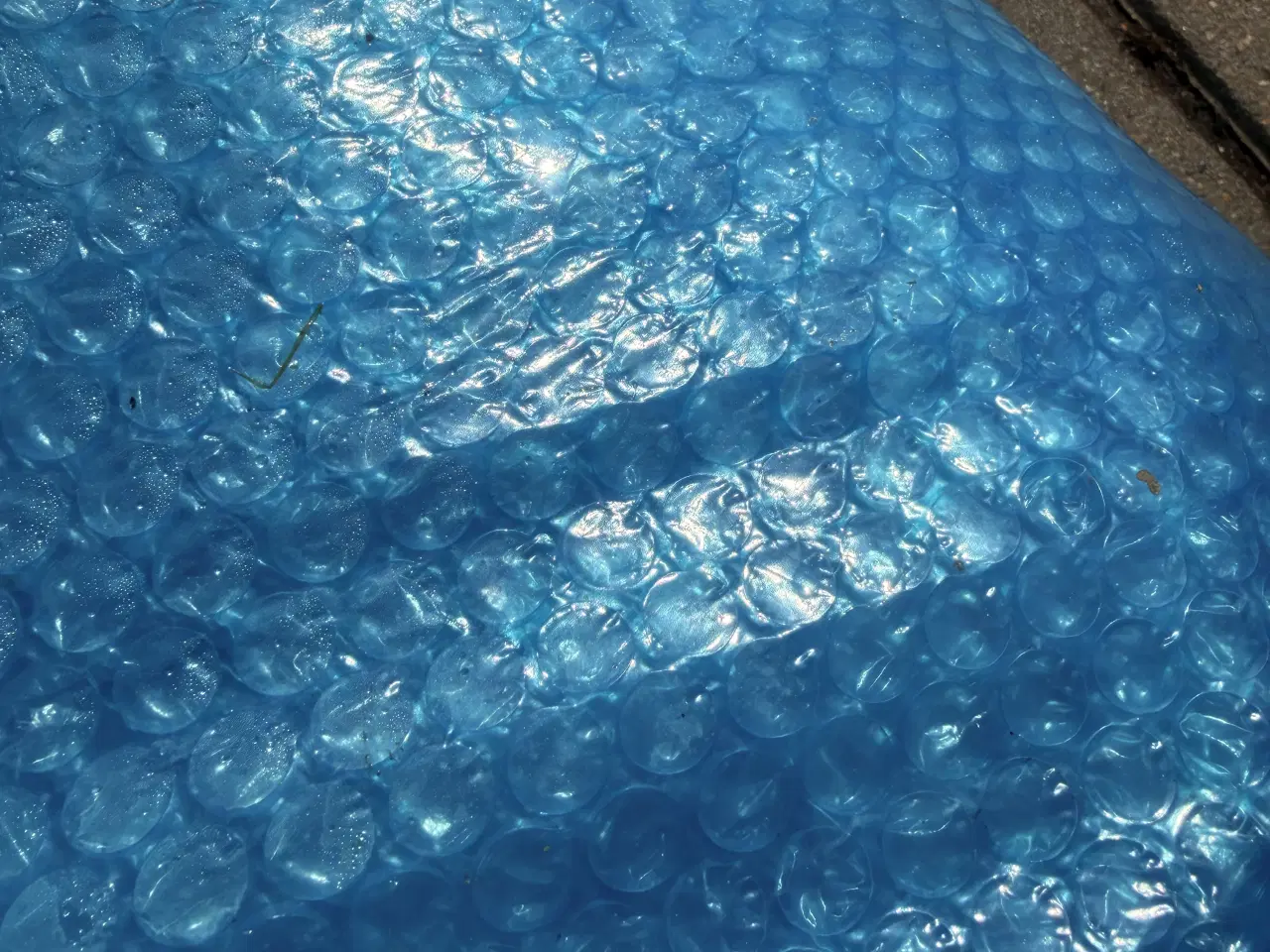 Billede 2 - Pool cover 