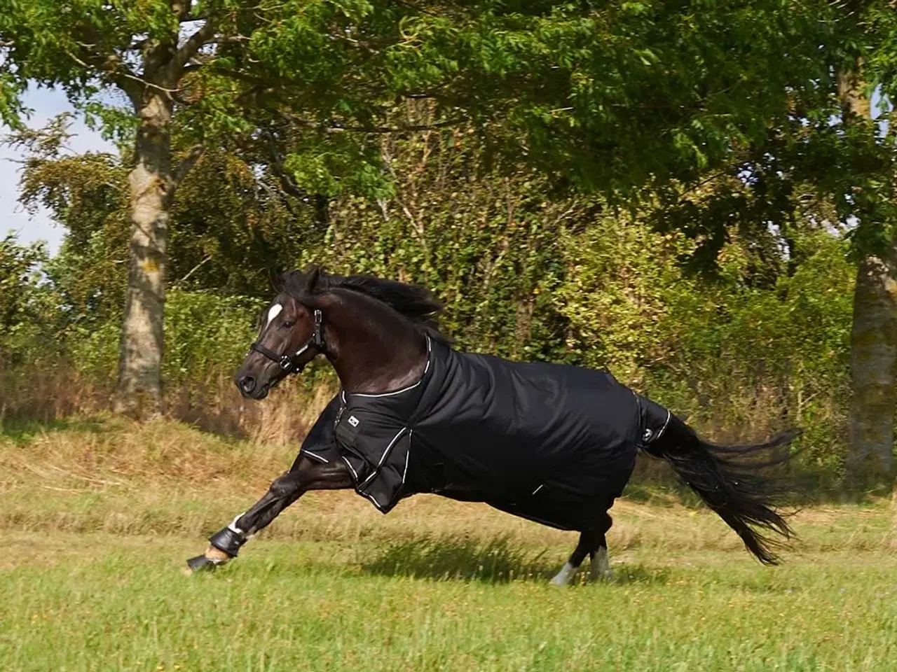 Billede 1 - Rbh sport 200g 135 klar til brug 
