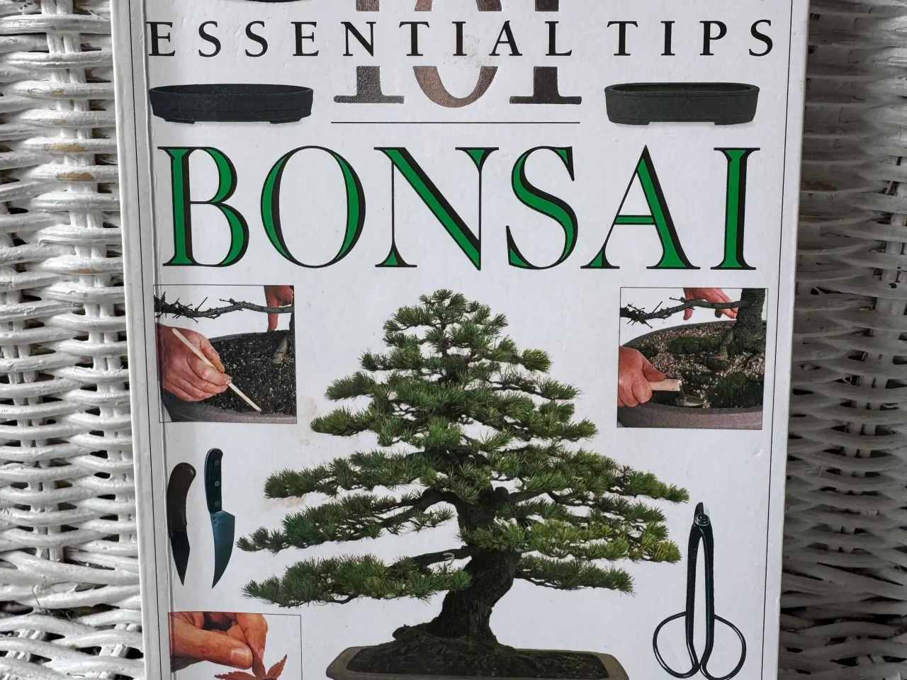 Billede 6 - Bonsai bøger Hugning i sten Japansk home