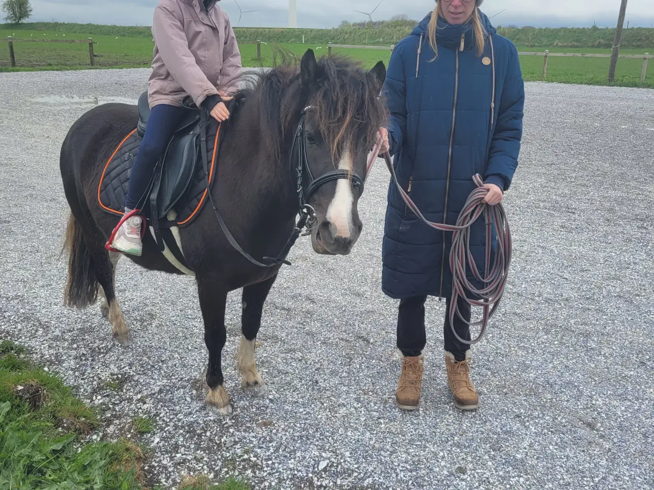 Billede 1 - Sød welch pony.