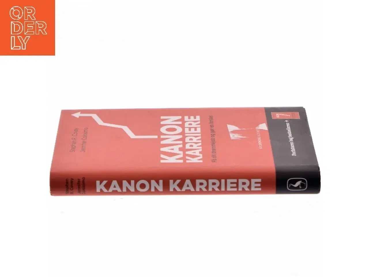 Billede 2 - Kanon karriere : få dit drømmejob og gør en forskel af Stephen R. Covey (Bog)