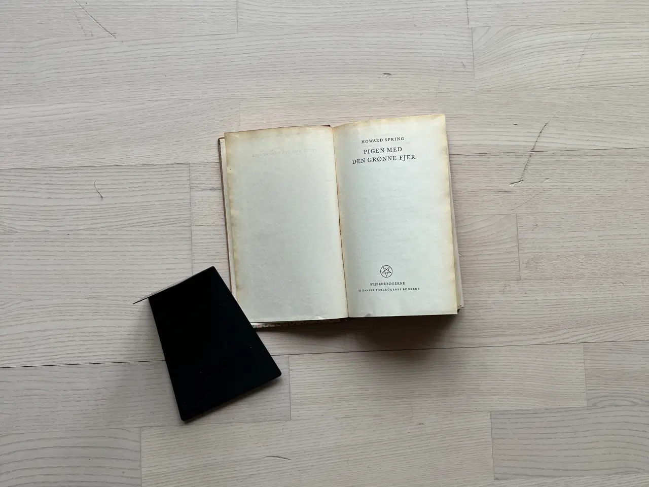 Billede 2 - Pigen med den grønne fjer - af Howard Spring