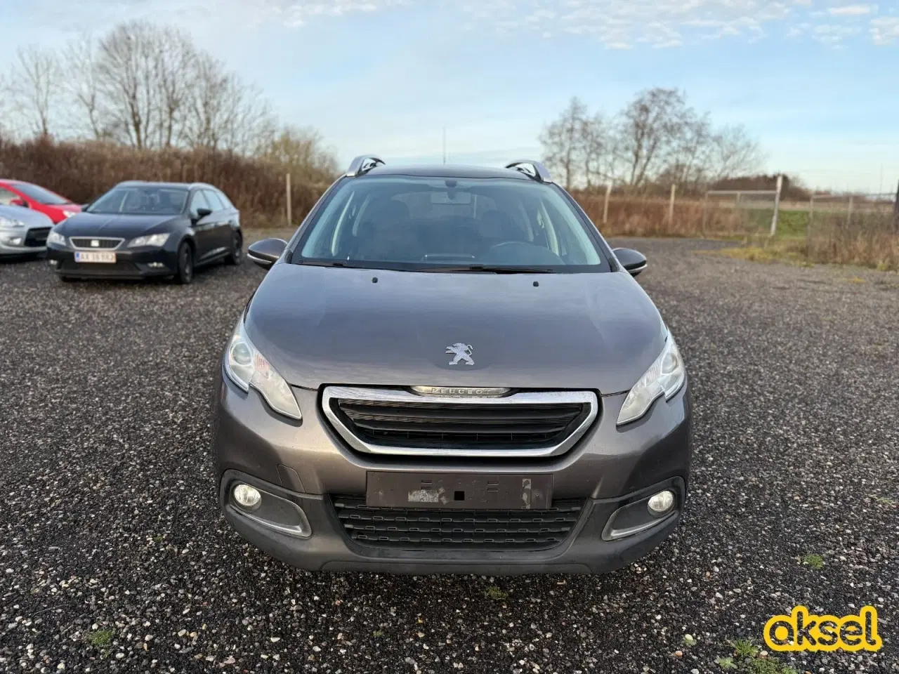 Billede 2 - Peugeot 2008 1,6 BlueHDi 100 Active