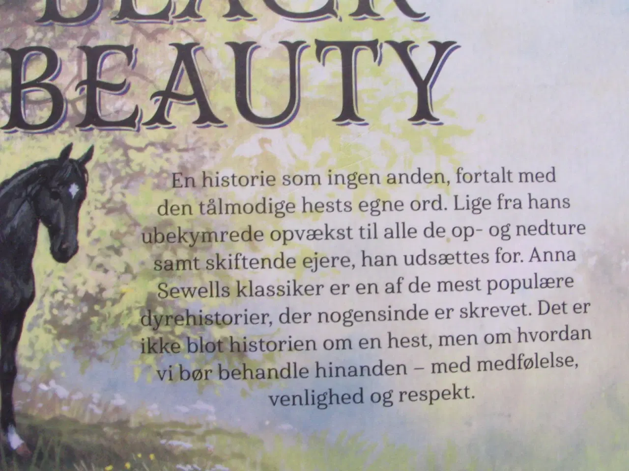 Billede 2 - Black Beauty-Den sorte Hingst